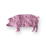 חזיר