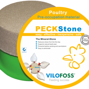 אבני נקירה Medium