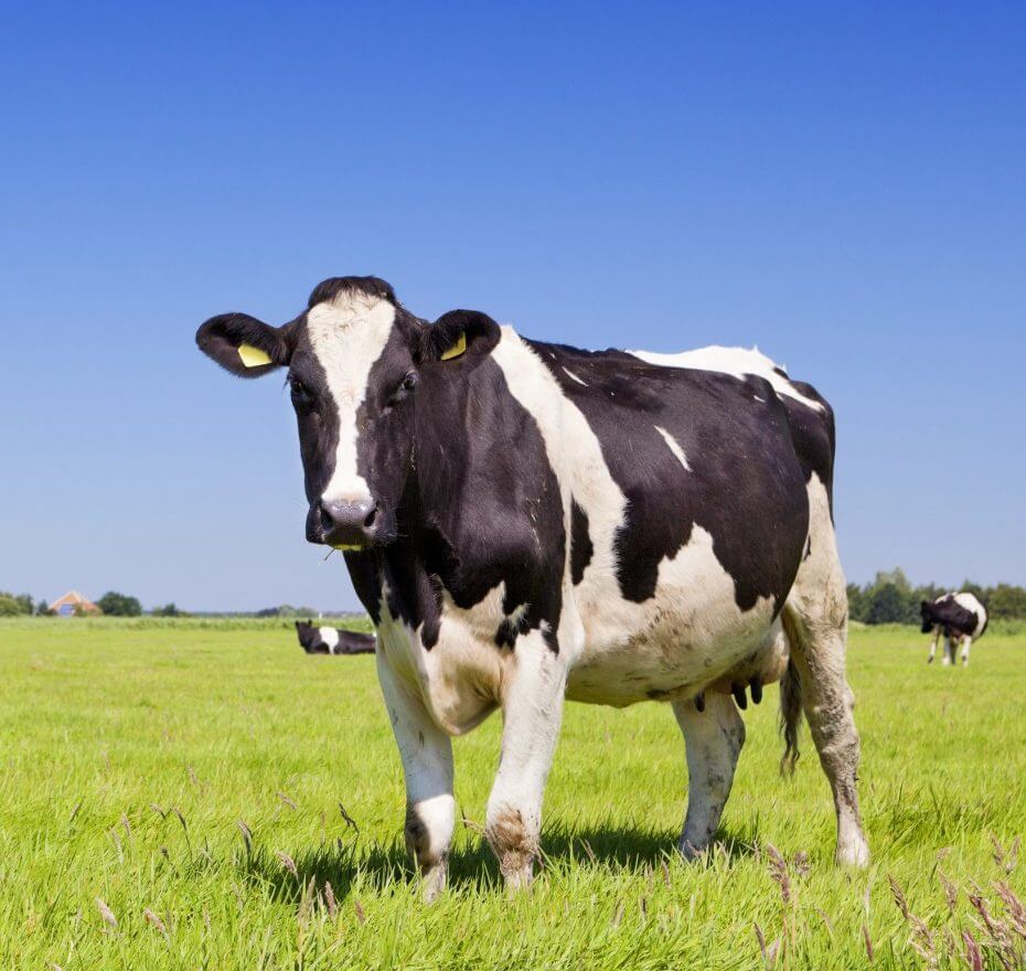 WhatsApp-Image-2025-10-22-at-13.27.37-3-e1761561597465